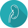Logo Nefris